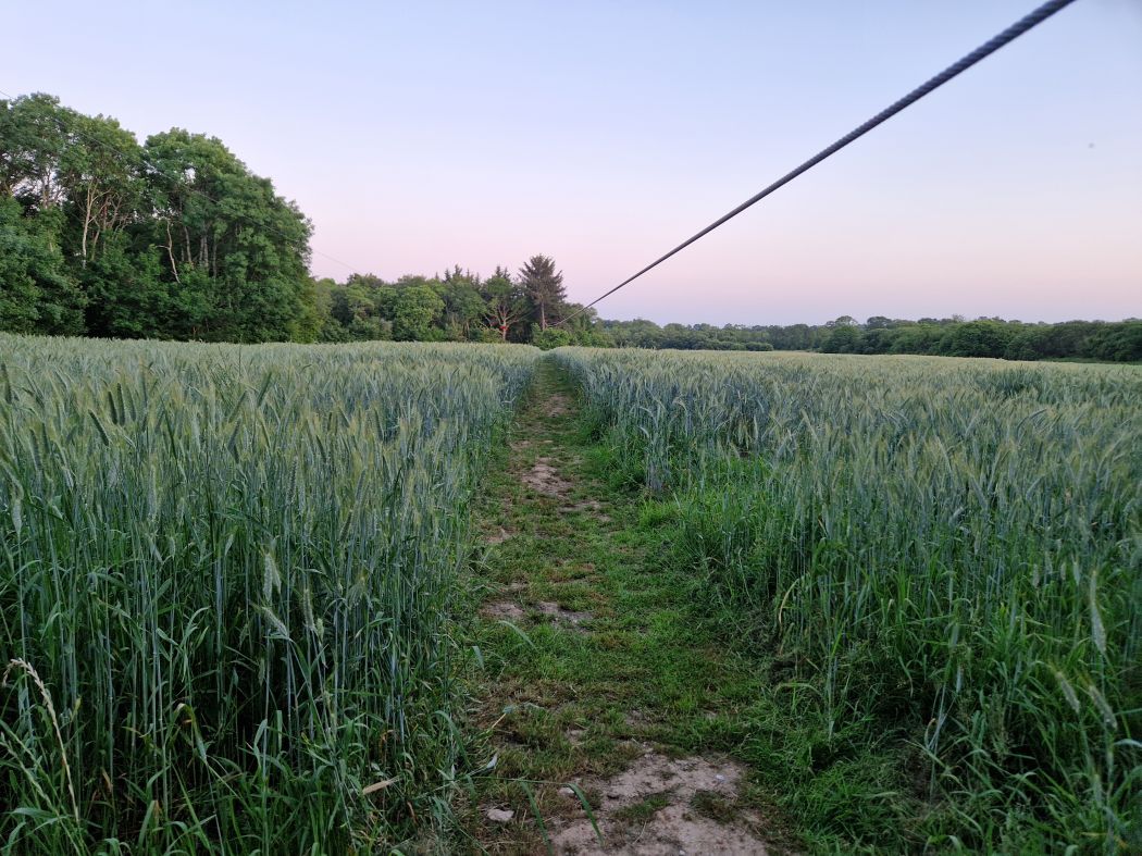 Tyrolienne géante soir